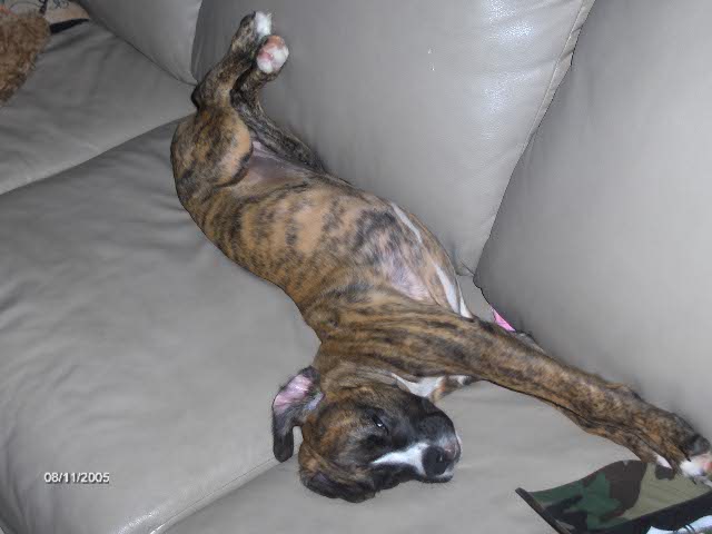 big stretch
