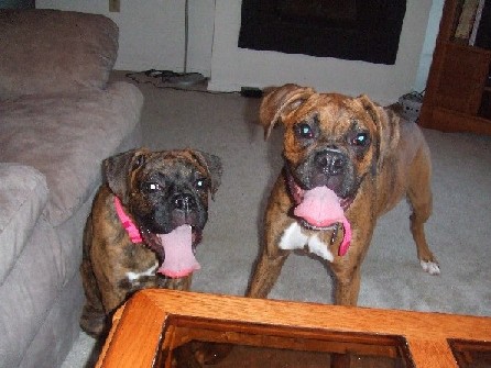 Big Tongue Girls
