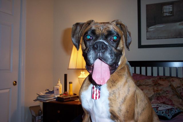 Big Tongue