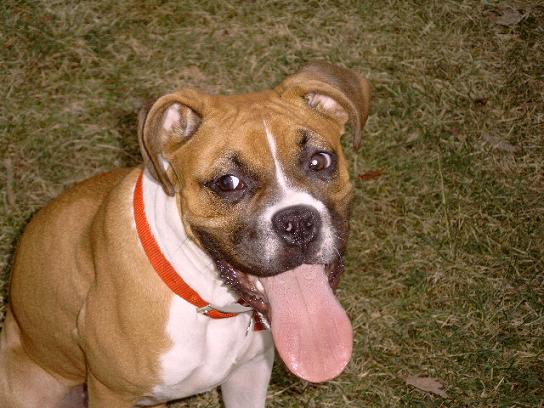 Big Tongue!