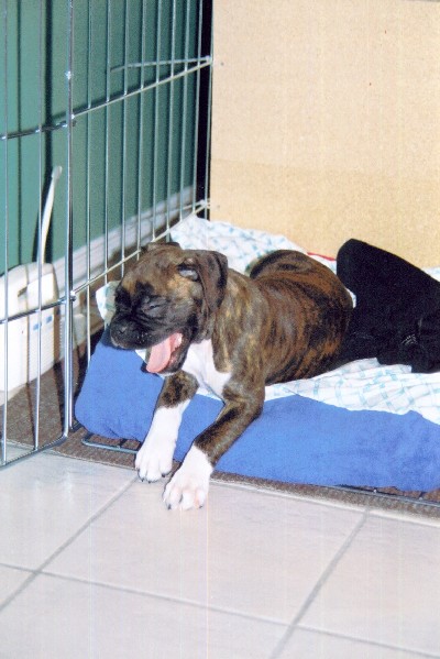 Big Yawn