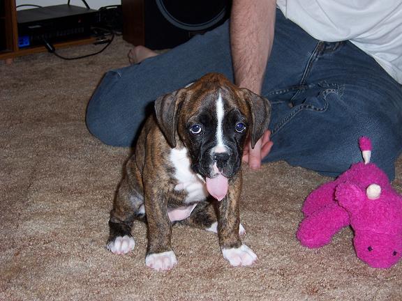 Big Yawn