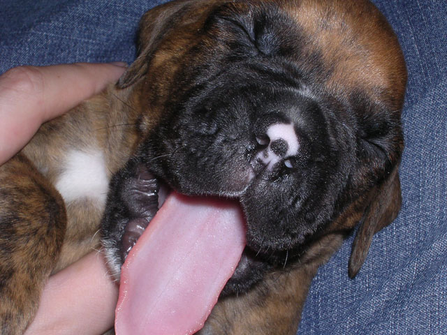 Big Yawn!