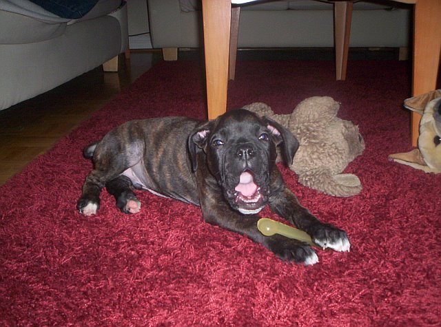 Big Yawn!