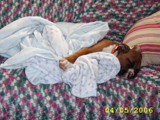 big_baby_max1