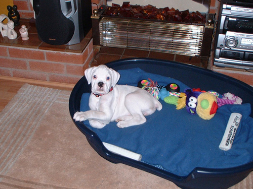 big_bed