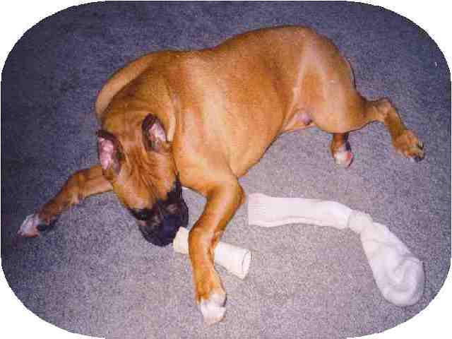 Big_Boy_Baxter