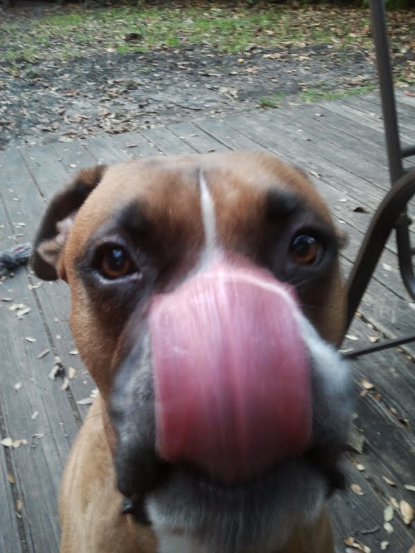 BIG_KISS_MOMMY