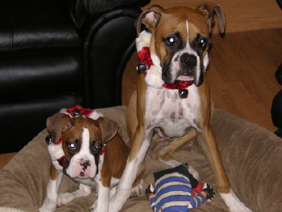 Biggie and Frankie