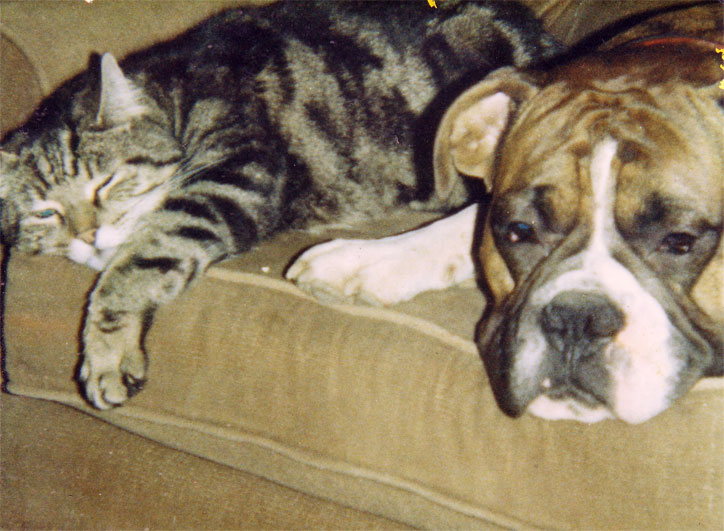 Biggles and Khan