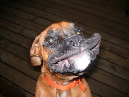 Bigler Smiling