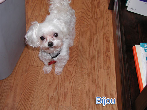 Bijou