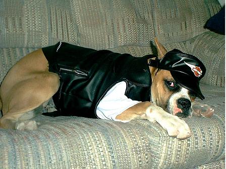 Biker Girl