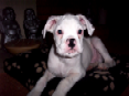 billy