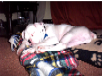 billy