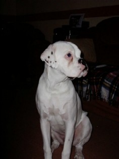 billy