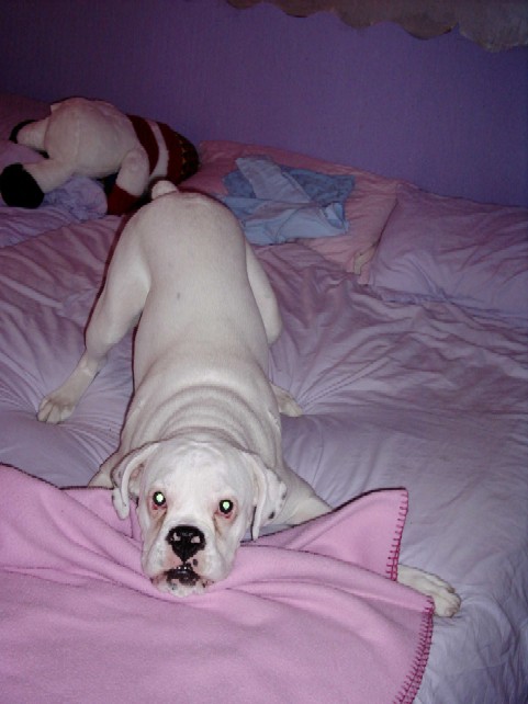 billy