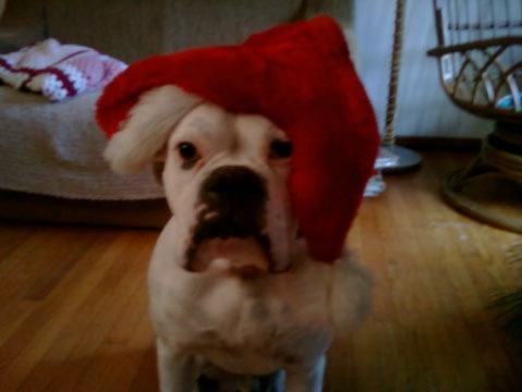 Billy`