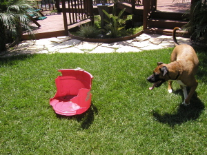 Bin_fun_2