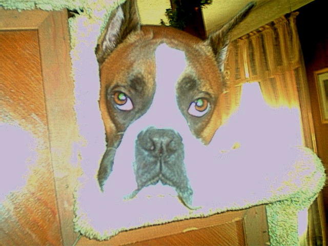 Bing on 2nd Birthday