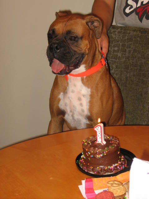 Birthday Boy....So Happy!