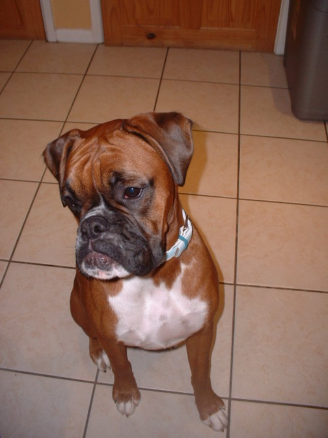 Birthday boy