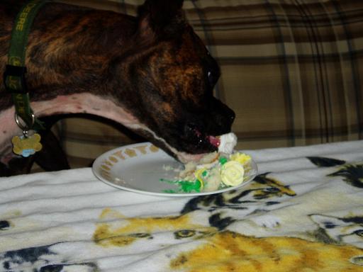 Birthday Cake