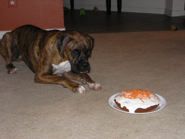 Birthday Cake