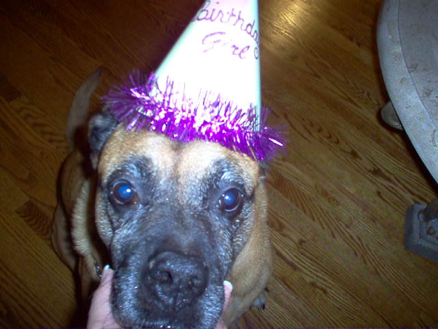 Birthday Girl!  10th Bday!