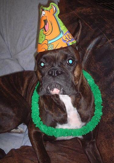 Birthday Girl