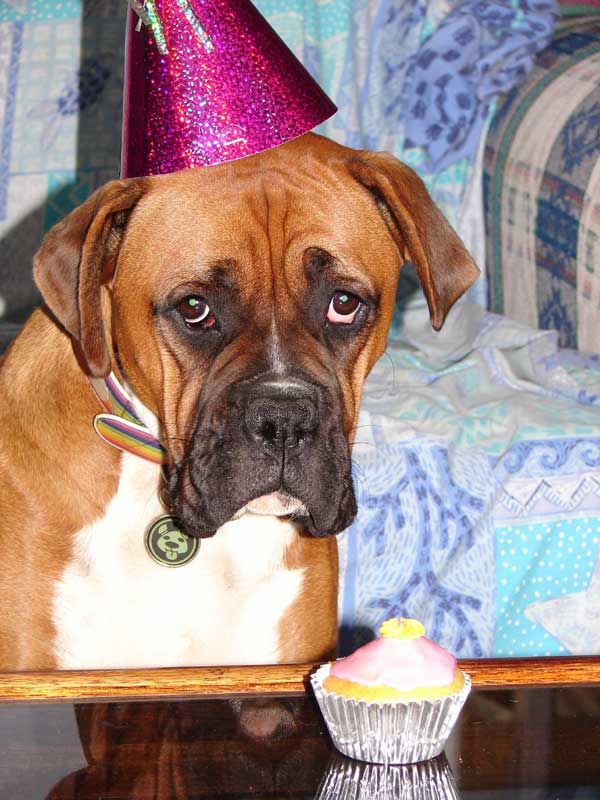 Birthday Girl