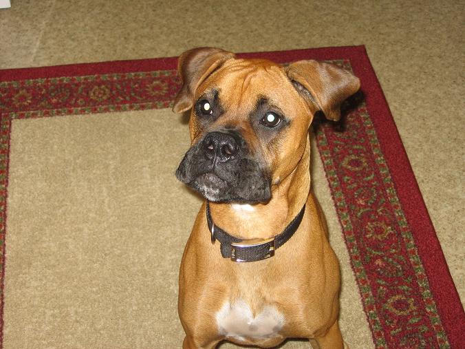 Birthday treat? Sure, I'll have one!