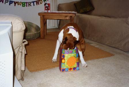birthday_gift
