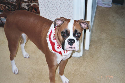 Bite Me!!... I have attitude.
