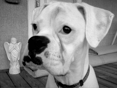Black and white head profile