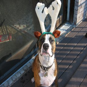 BladeDeer