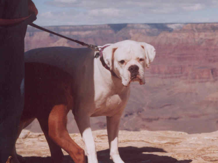 Blake at the Grand Canyon