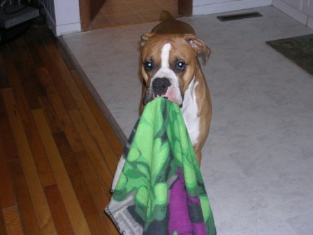 Blanky