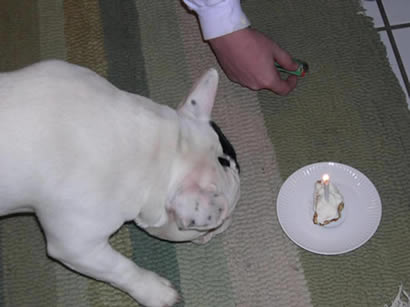 Blowing out the Candle