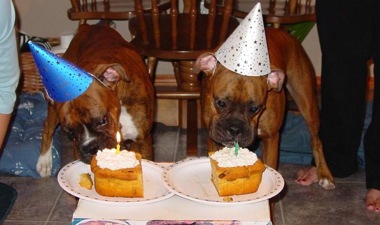 Blowing_out_candles