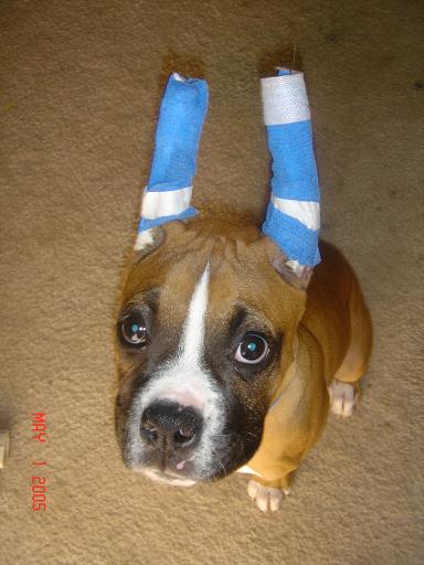 Blue is his favorite color