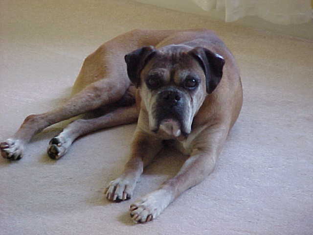Bo...13 year old boy