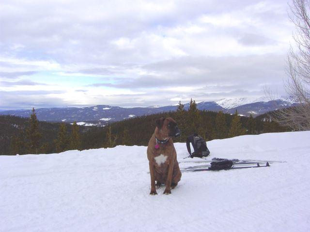 Bo X-Country Skiing