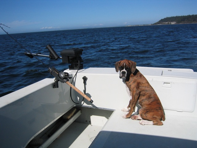 Boating  fun
