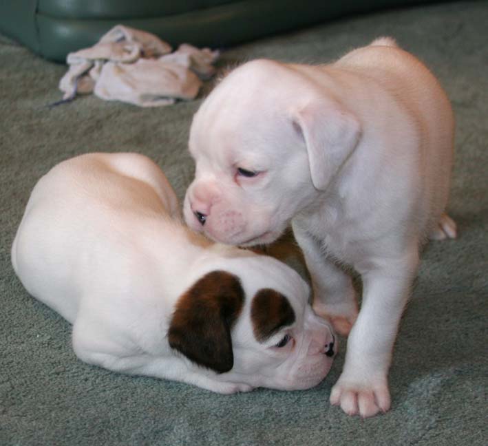 Bobby&Tilly