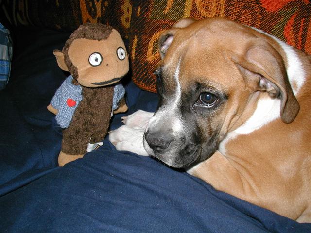 Bobo  and Gus