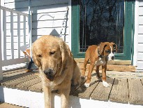 Bodi & Lance