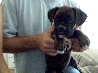 Bodie3