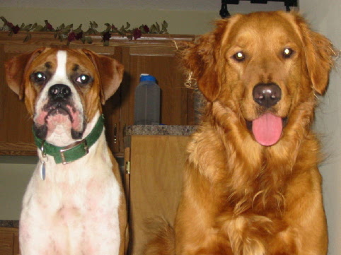 Boggs and Brody