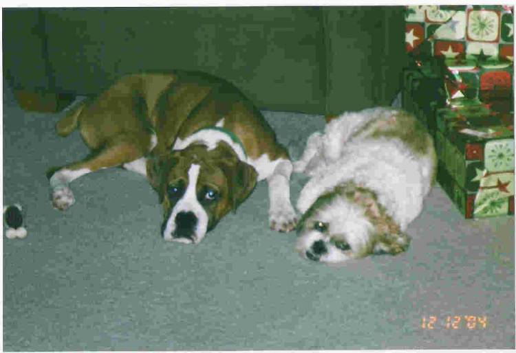 Boggs and Rascal